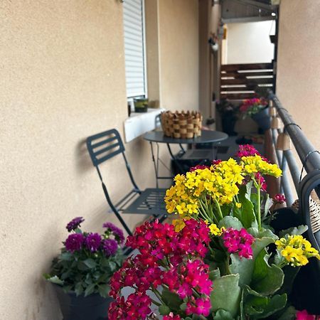 Appartement De Charme 80M2 Givors Buitenkant foto