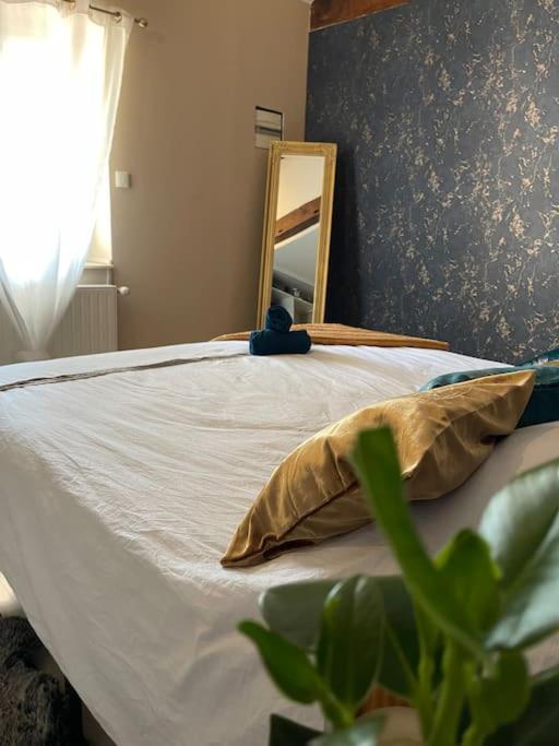 Appartement De Charme 80M2 Givors Buitenkant foto
