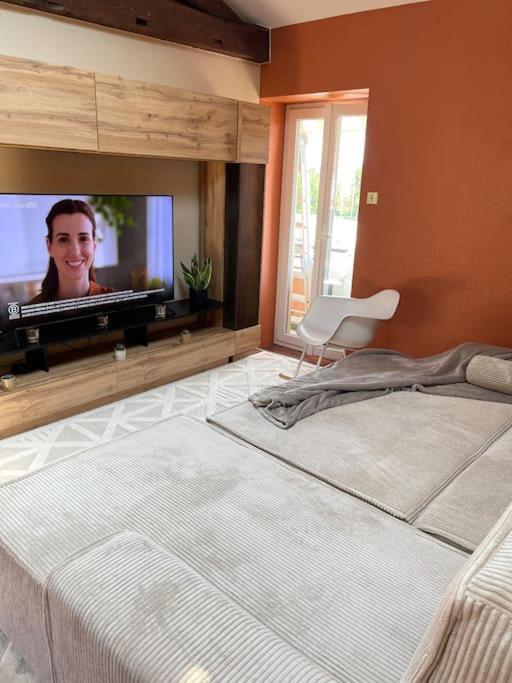 Appartement De Charme 80M2 Givors Buitenkant foto