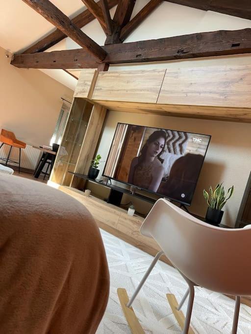 Appartement De Charme 80M2 Givors Buitenkant foto
