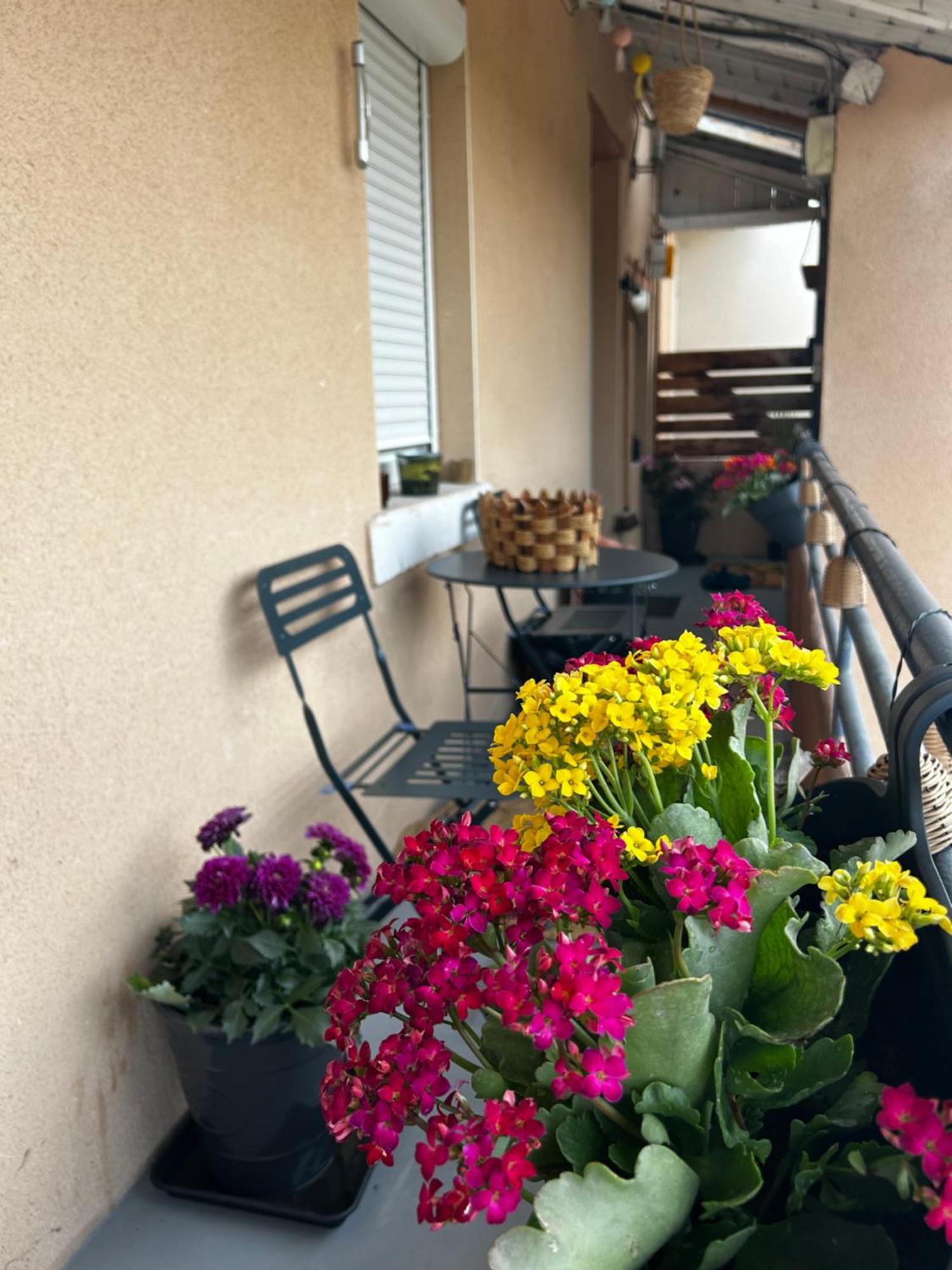 Appartement De Charme 80M2 Givors Buitenkant foto